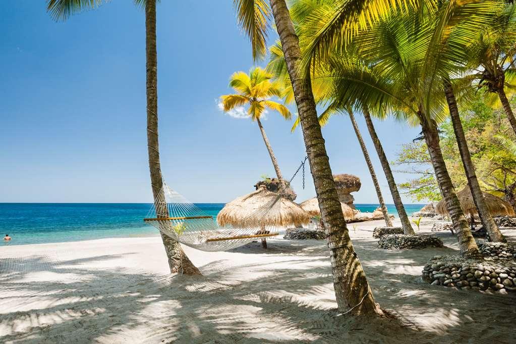 Anse Chastanet Resort Soufrière Natuur foto