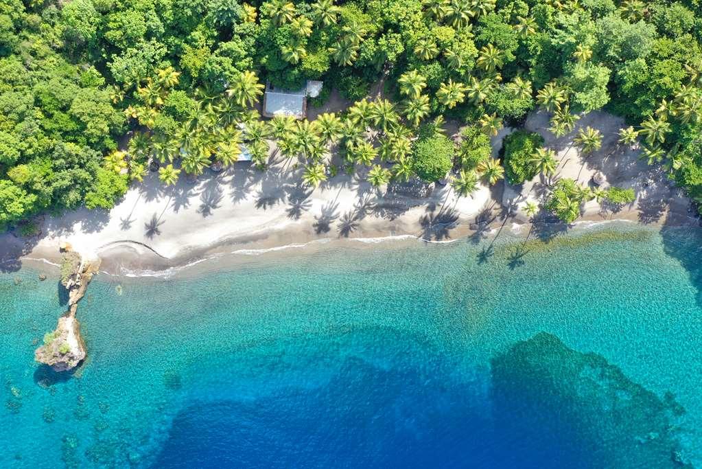Anse Chastanet Resort Soufrière Natuur foto
